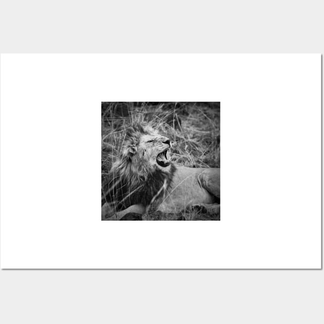 Mara Lion in Monochrome Wall Art by GrahamPrentice